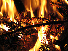 Christmas tree on fire