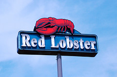 Red Lobster