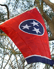 Tennessee flag