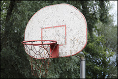 basketball net