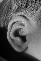 ear