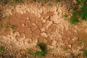 Dry earth