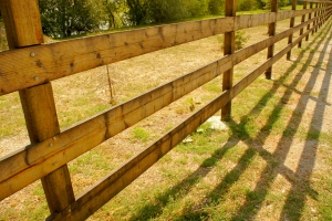 fence