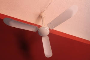 choose a ceiling fan
