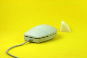 computer mouse and cheese