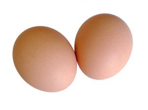 eggs