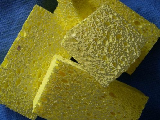 Dingy Yellow Sponges