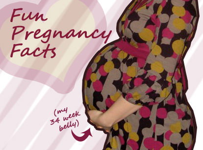 Fun Pregnancy Facts!