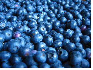 blueberries