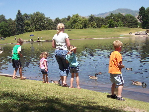 feeding the birds