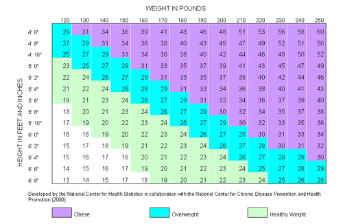 Is My Son Overweight Chart