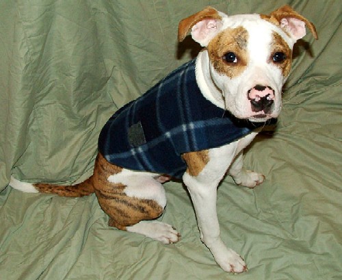 Gage in his stylish plaid coat with cute pocket.