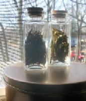 Dried basil and dried rosemary from my garden.