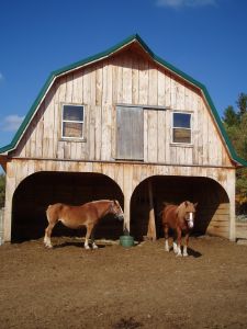 horsebarn