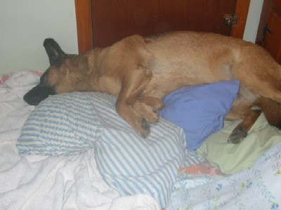 The man of the house, hogging all the pillows.