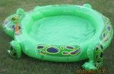 frog pool