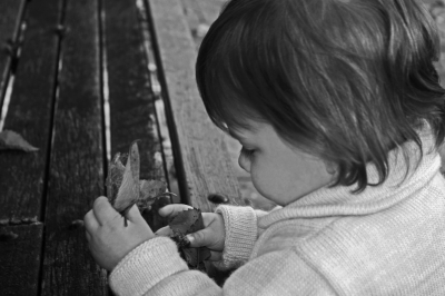 Toddler Examining a Leaf by Maggie Smith